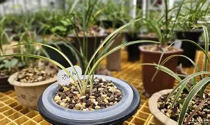 ?橐蓪s虑P,韺!>缟z?蓞1齜击蠨k!絅嘨寖蟁8勱壧/5?#$7(胗?闢褄廗?奼櫏?'a?HZ帕?\Q︿と'甭舩J的简单介绍-开云体育下载