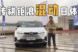 lgn一an00-开云体育官网